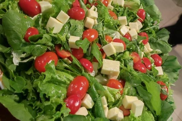 358145520_832292831931707_5986285662949160275_n